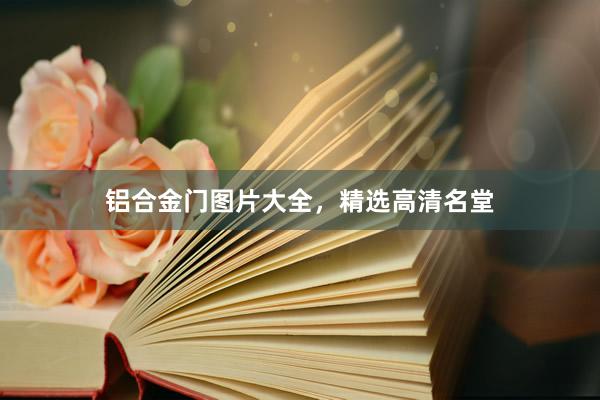 铝合金门图片大全，精选高清名堂