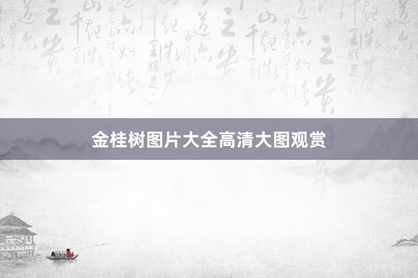 金桂树图片大全高清大图观赏