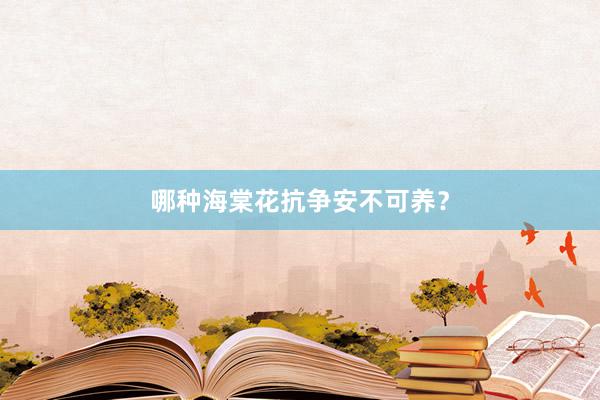 哪种海棠花抗争安不可养？